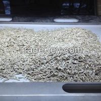 Roasted/Raw Sunflower Seeds