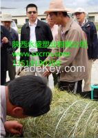 Special silage hemp rope for sale, Welcome to pick and buy .