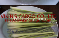 FRESH/ FROZEN LEMONGRASS 