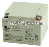 Long Way Brand 6-EVF-24(12V24AH/10HR) Deep Cycle Battery