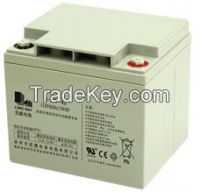 Long Way Brand 6-EVF-42(12V42AH/10HR) Deep Cycle Battery