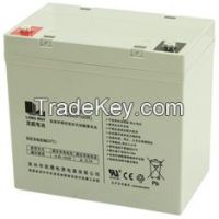 Long Way Brand 6-EVF-55(12V55AH/10HR) Deep Cycle Battery