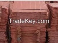 Copper Cathodes