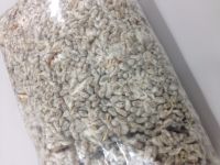 COTTONSEED 