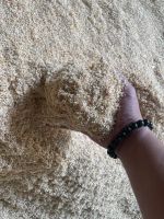 Vietnamese Bedding Pet Bed Wood Chipper Wood Shavings Pets Wood Shaving for Small Pets Good for Sale