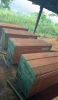 High Quality Timber Logs Teak Timber
