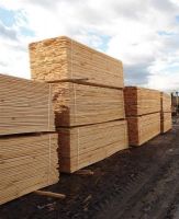 High Quality Timber Logs Teak Timber