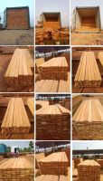 High Quality Timber Logs Teak Timber
