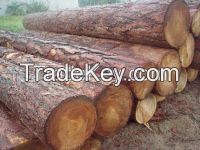 Siberian Lumber