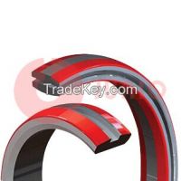 HX seal ring gasket