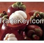 Mangosteen