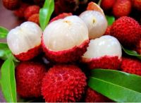 Lychee with Cheapest Price