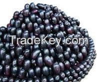 Organic Seedless Jamun