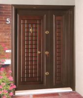 Luxe type steel door