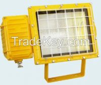 Explosion-proof metal halide lamp,Explosion-proof lamp