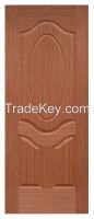 EV-TEAK door skin