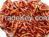 Dried Chilli Pepper