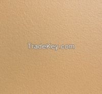 Foshan Ceramic Interior Floor Tiles