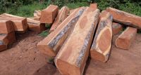 Kosso Wood