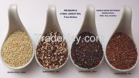 Organic royal quinoa and chia from Bolivia