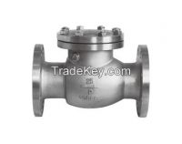 Swing check valve