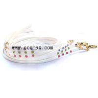 Pet Collar