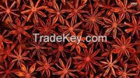 Qulaity Star Anise