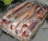 Fresh And Frozen Seafood Squid, Lobsters, Shrimps, Fish,