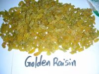 Golden Raisin