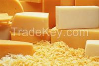 Cheddar Cheese | Edam Cheese | Gouda Cheese | Mozarella Cheese