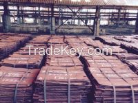 COPPER CATHODE FOR SALE