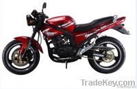 250cc Motorcycle (MK-HH-250GS-1)