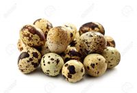 Fresh Quail Eggs 