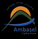 Ambasel Trading House Plc