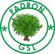 fadron global services limited