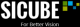 Sicube Photonics co., Ltd