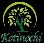 KOTINOCHI JSC