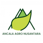 PT Ancala Agro Nusantara