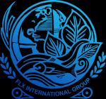 FLX International Group