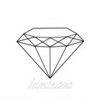 Zuannuo International Trade Co., Ltd