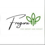 Fregora