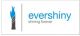 EVERSHINY ELECTRONICS CO., LTD