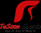 TeSonsSports