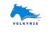 VELKYRIE UK LTD