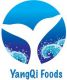 ShangHai YangQi Industry and Trade Company