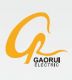 Changzhou GaoRui Electric Co., Ltd