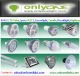 Shenzhen Onlyone Light Limited