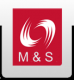 M and S Global consultant