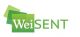 Guangzhou Weisent Information Technology Co., Ltd