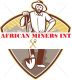 AFRICAN MINERS INT